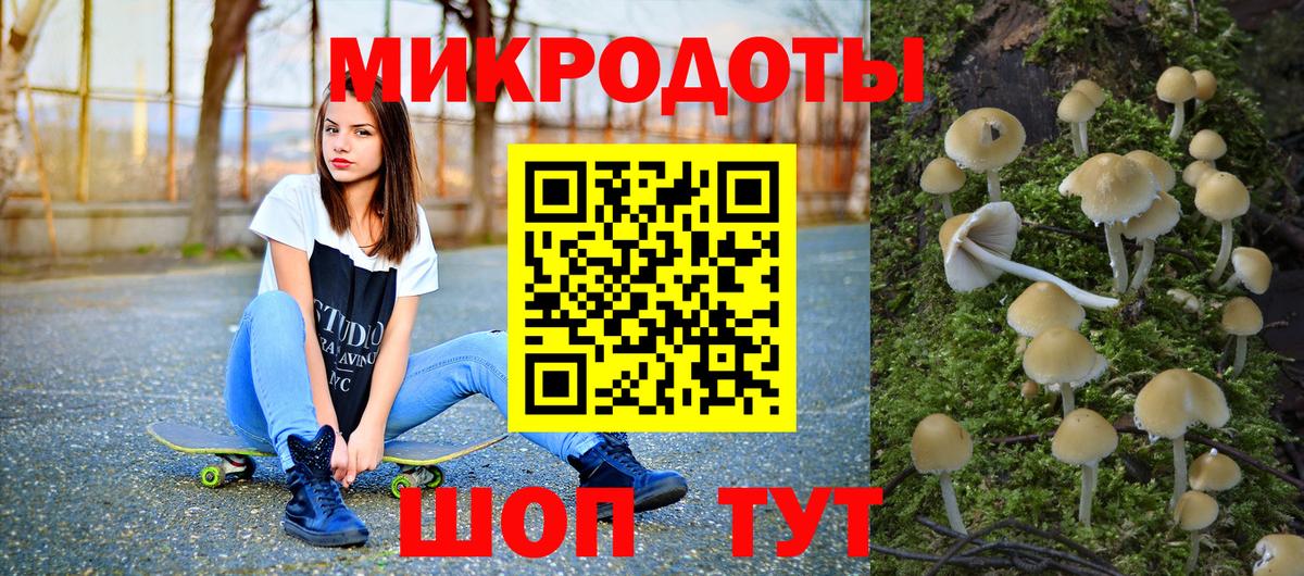 Псилоцибиновые грибы GOLDEN TEACHER Ростов-на-Дону