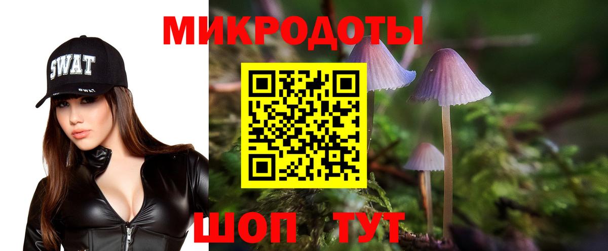 Псилоцибиновые грибы Psilocybe  Вход с VPN  Ростов-на-Дону  Псилоцибиновые грибы мухоморы 